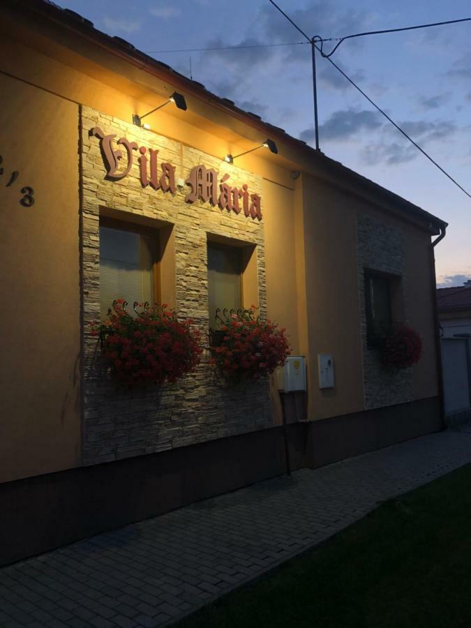 Vila Maria Rapovce Eksteriør bilde